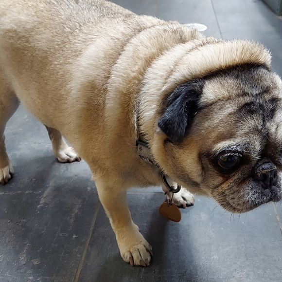 🔥 🎹 🎼🎶z1ze🔥 - Picture 7 of 16